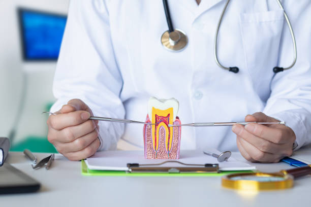 Best Emergency Root Canal Treatment in Fayette, AL